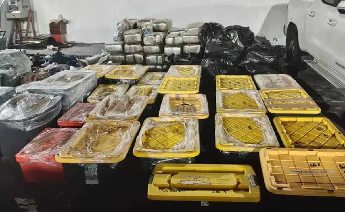 Fuerzas federales y estatales localizaron uno de los mayores arsenales recientes en Veracruz. El decomiso incluyó fusiles, granadas, lanzagranadas, miles de municiones y cientos de kilos de droga.