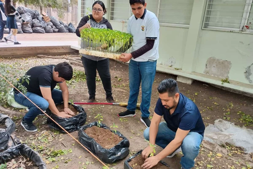 El académico de la UAS participará como panelista en el Climate Fest 2026, una cumbre internacional sobre acción climática en Perú.  Presentará proyectos enfocados en reducir agroquímicos y contaminación por microplásticos en la agricultura. 