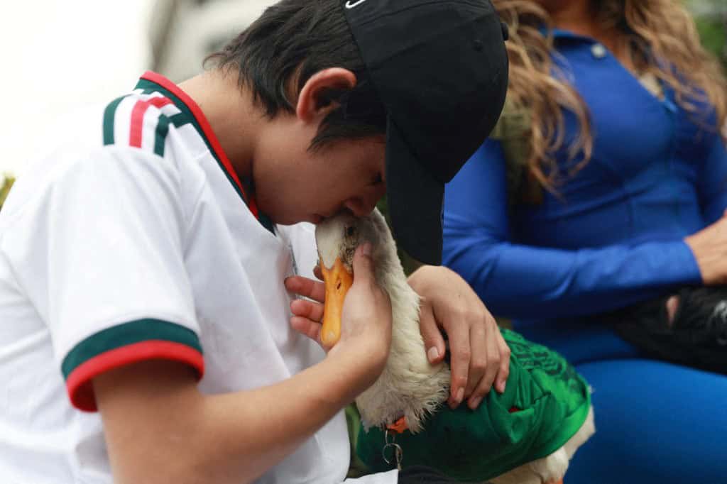 Imagen 5