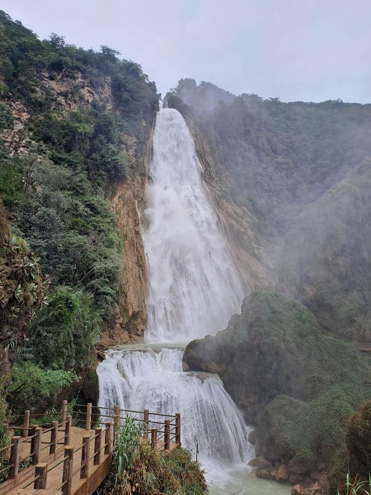 Parece un escenario de película, pero está en Oaxaca. Esta cascada de 35 metros se esconde entre la Sierra Mazateca y sorprende con aguas heladas, enormes rocas y un puente colgante.