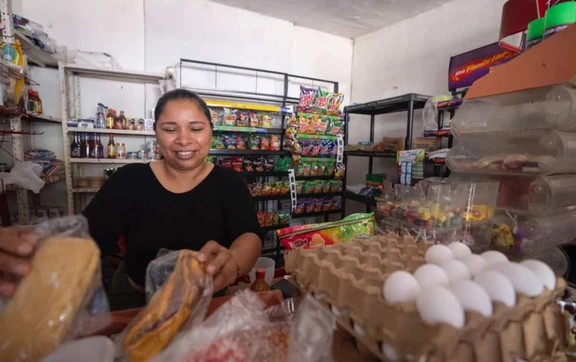 Impulsan negocios de mujeres al norte de Culiac&aacute;n con apoyo de 117 mil pesos