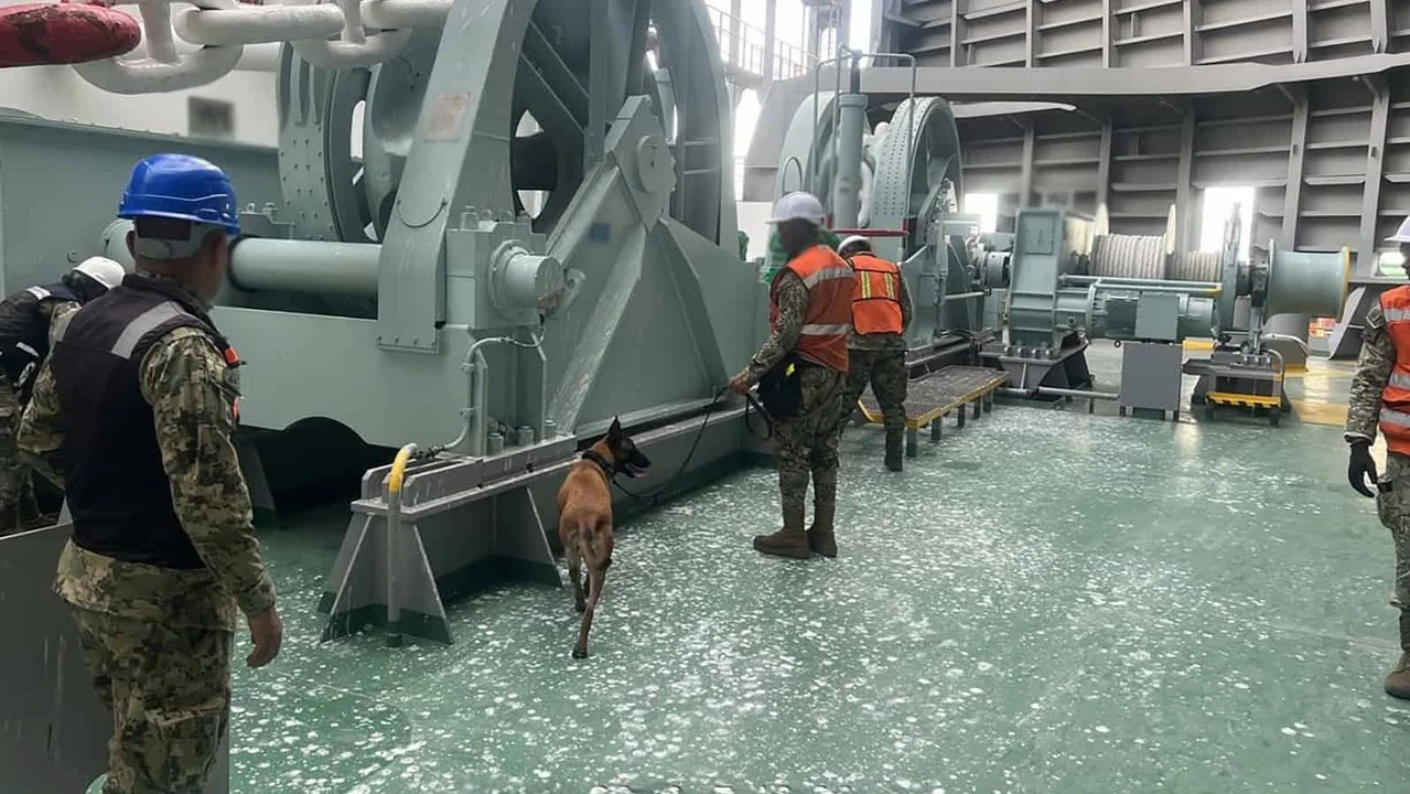 El momento en que perros especializados detectaron cocaína escondida en contenedores en Michoacán.