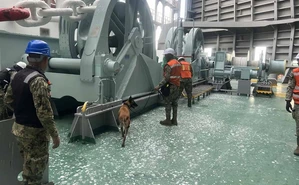 El operativo en Lázaro Cárdenas que terminó con el hallazgo de cocaína oculta en un buque mercante