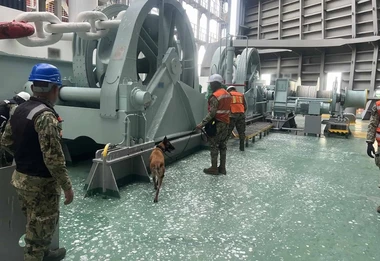 El operativo en Lázaro Cárdenas que terminó con el hallazgo de cocaína oculta en un buque mercante