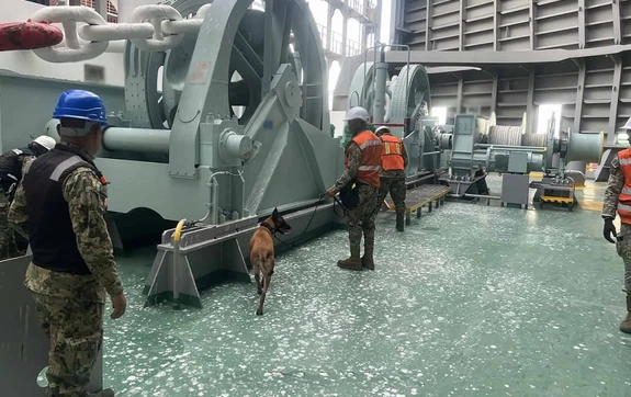 El operativo en L&aacute;zaro C&aacute;rdenas que termin&oacute; con el hallazgo de coca&iacute;na oculta en un buque mercante