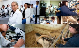 ¿Tu mascota necesita atención? La Facultad de Veterinaria de la UAS ofrece servicios accesibles para la salud animal y pública