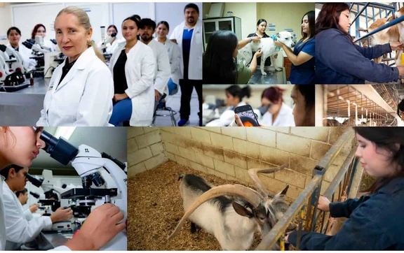 &iquest;Tu mascota necesita atenci&oacute;n? La Facultad de Veterinaria de la UAS ofrece servicios accesibles para la salud animal y p&uacute;blica
