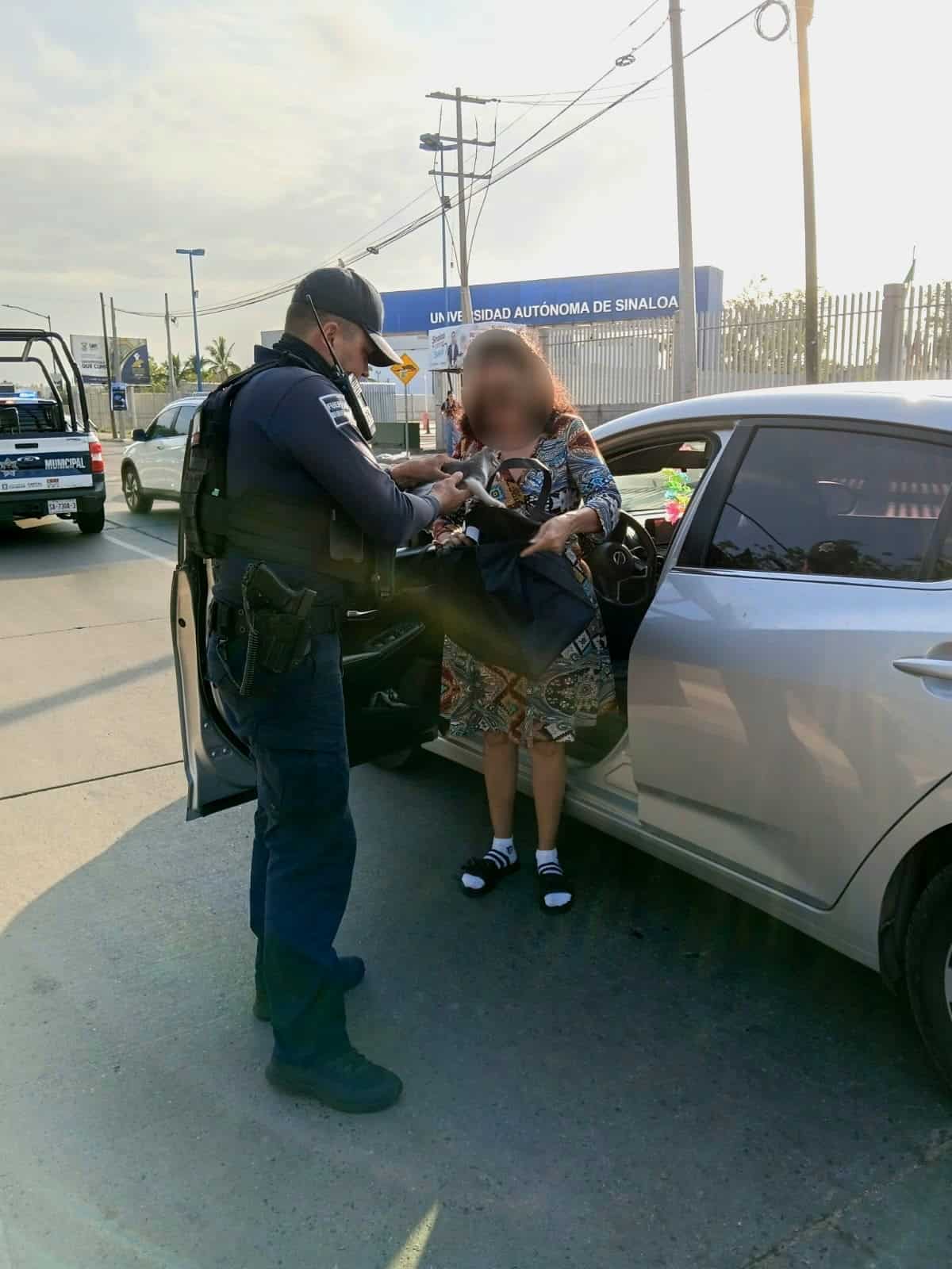 Tras ser rescatado de entre las piezas de un automóvil, este minino encontró algo más valioso que la seguridad: un hogar. Foto: SSPyTM