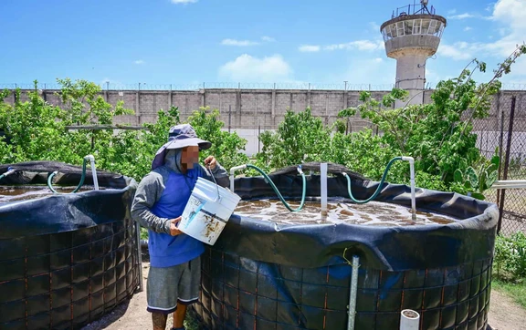 Personas Privadas de la Libertad siembran alevines de tilapia en el Centro Penitenciario El Castillo, en Mazatl&aacute;n, y con ello cultivan la esperanza de un futuro digno