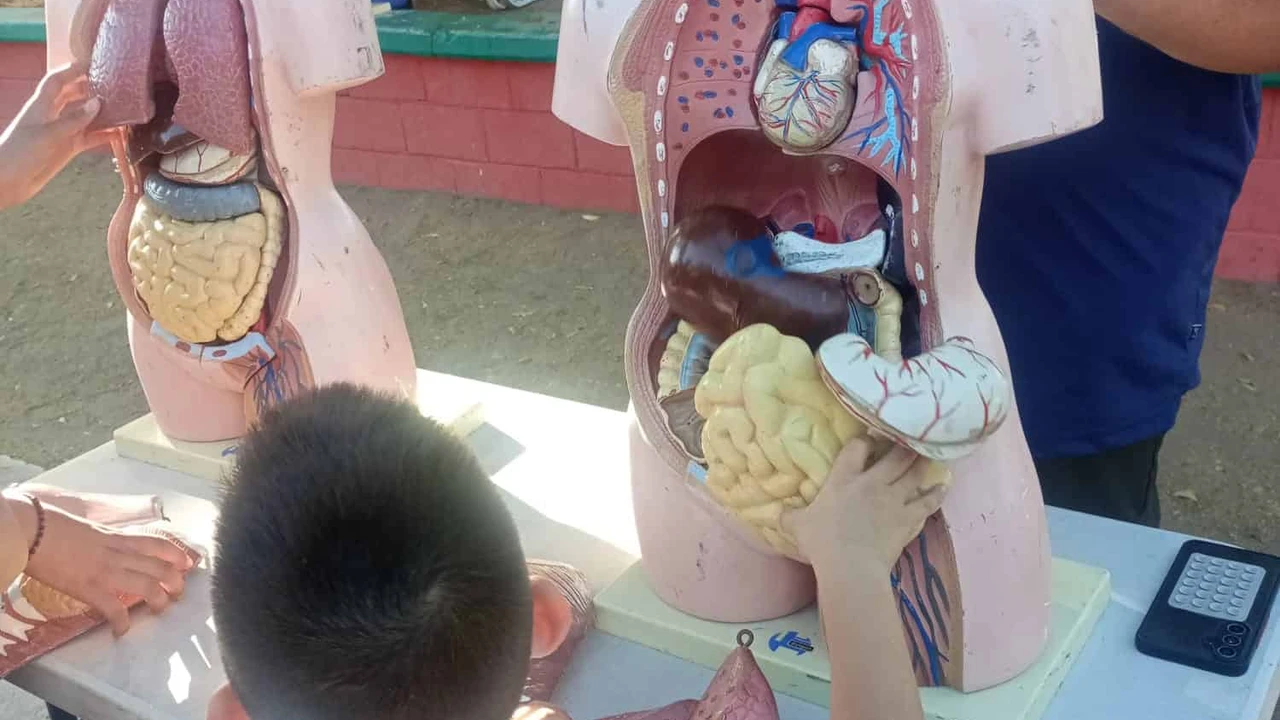 Los niños de Barrancos disfrutaron aprender de ciencia en su parque, en familia y con amigos.