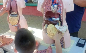 La ciencia llegó al Parque Artículo 63 en Barrancos y convirtió una tarde en una aventura para las familias de Culiacán