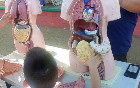 La ciencia lleg&oacute; al Parque Art&iacute;culo 63 en Barrancos y convirti&oacute; una tarde en una aventura para las familias de Culiac&aacute;n