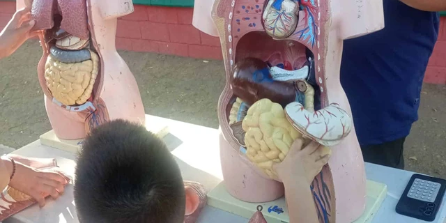 La ciencia lleg&oacute; al Parque Art&iacute;culo 63 en Barrancos y convirti&oacute; una tarde en una aventura para las familias de Culiac&aacute;n