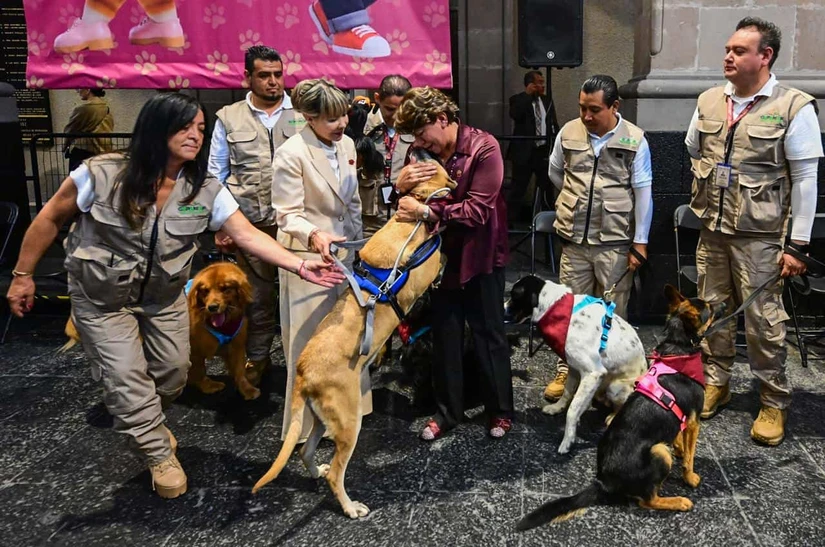 Entra en vigor Ley de Protección y Bienestar Animal del Edomex. Foto: Cortesía 