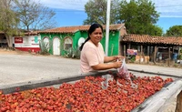 Sus suegros murieron, pero ellos se negaron a dejar desaparecer una tradici&oacute;n de m&aacute;s de 40 a&ntilde;os