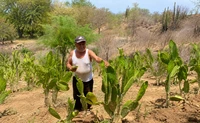 Ten&iacute;a 76 a&ntilde;os y una vida hecha en su rancho... pero la violencia lo oblig&oacute; a huir y empezar de cero