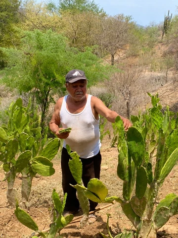 Ten&iacute;a 76 a&ntilde;os y una vida hecha en su rancho... pero la violencia lo oblig&oacute; a huir y empezar de cero