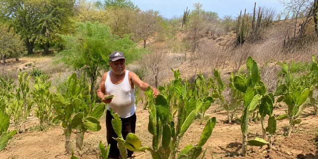 Ten&iacute;a 76 a&ntilde;os y una vida hecha en su rancho... pero la violencia lo oblig&oacute; a huir y empezar de cero