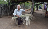 Solo quedan tres artesanos en Los Humayes, Sinaloa... y &eacute;l se niega a dejar morir el oficio de las escobas de palma
