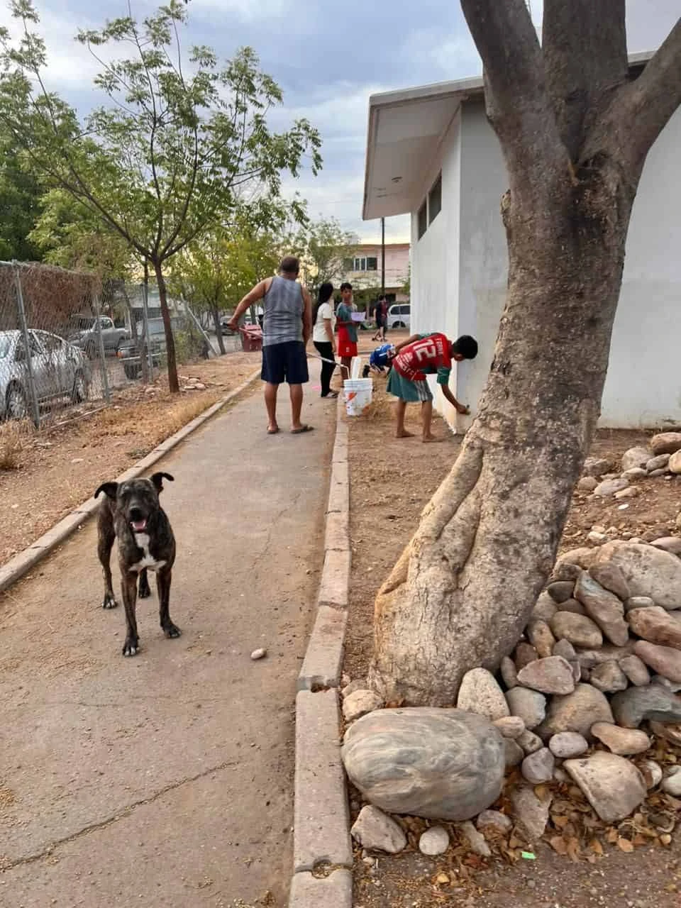 Niñas y niños colaboraron activamente en la pintura del mural y acompañaron cada etapa de su realización