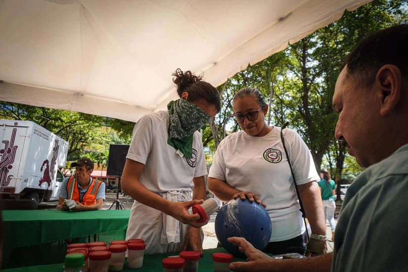 La feria de la inclusión es una forma de apoyar a las personas con discapacidad y sus familias.