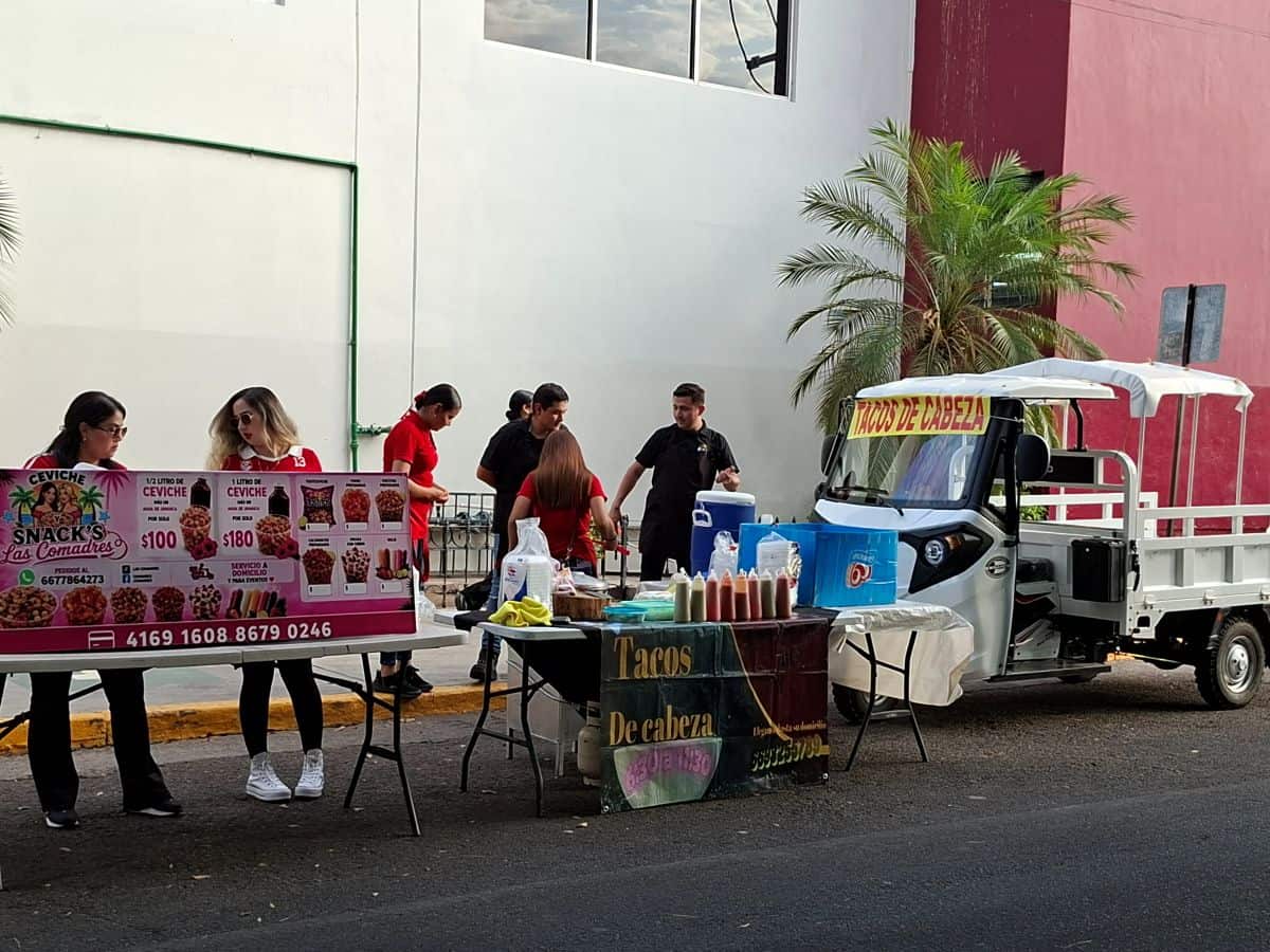 Imagen 8