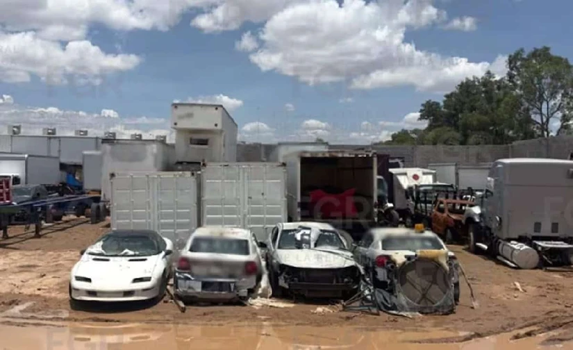 Un cateo de la FGR en San Luis Potosí, iniciado por el robo de un cargamento de neumáticos, derivó en el aseguramiento de miles de llantas, decenas de vehículos y animales exóticos, entre ellos leones y un tigre.