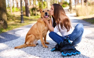Cuánto cuesta alimentar a un perro al mes en México (guía 2026)
