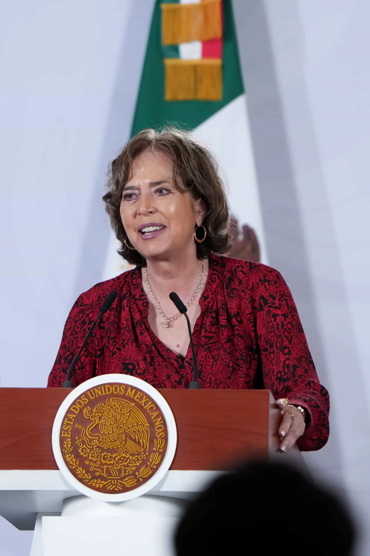  Rosaura Ruíz, Secretaria de Ciencia