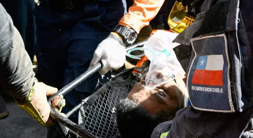 Después de ocho días bajo toneladas de concreto, Hernán Gil fue encontrado con vida gracias al marcaje de Halley, una perrita de búsqueda de la Cruz Roja Mexicana que participó en el operativo internacional.