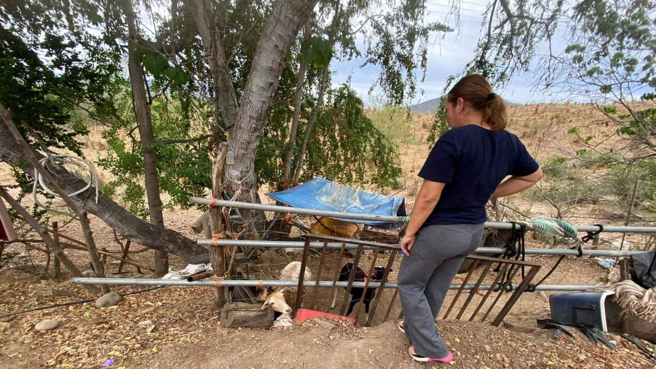 María del Carmen quien fue desplazada junto con su familia de Potrerillo de los Torres, iniciando prácticamente de cero en Cosalá. Fotos: Yolanda Tenorio/ Tus Buenas Noticias.