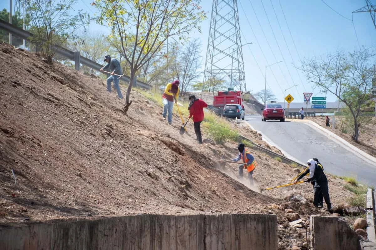 La recolección de basura es el servicio público mejor evaluado en Sinaloa, con un nivel de satisfacción de 81.9%, mientras que salud, educación y diversos trámites también superan el promedio nacional.