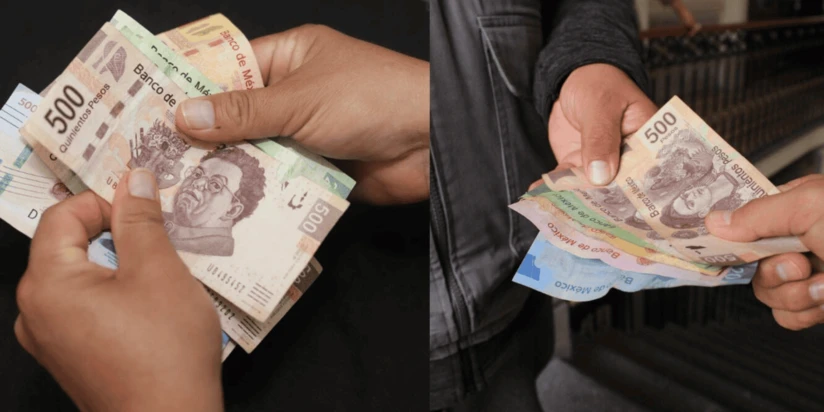 Estas son las reglas del SAT. Foto: Cortesía