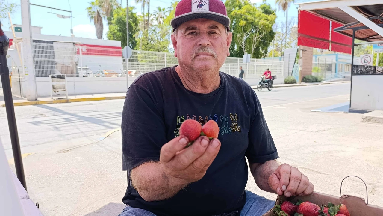 Desde hace ya más de dos décadas, Don Güero se ha ganado el cariño de la gente de Costa Rica gracias a la venta de fresas. Su buen trato y constancia han sido la clave del éxito del emprendimiento.