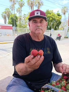 La historia de "Don Güero de las fresas": tiene 23 años endulzando las esquinas de Costa Rica