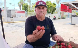 La historia de “Don Güero de las fresas”: tiene 23 años endulzando las esquinas de Costa Rica