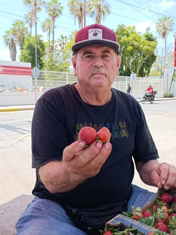 La historia de "Don G&uuml;ero de las fresas": tiene 23 a&ntilde;os endulzando las esquinas de Costa Rica