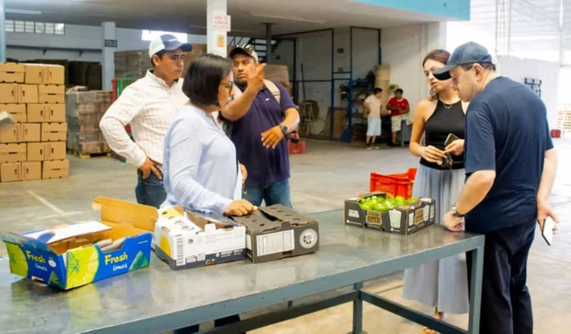 Limón de Veracruz llega a Rusia. Foto: Cortesía