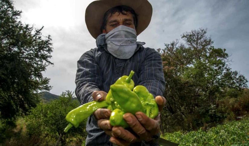 México incrementa exportaciones a Reino Unido. Foto: Cortesía