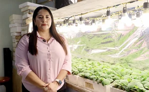 Bajo impacto ambiental y menos costos: La receta verde que nace en los laboratorios de la facultad de Agronomía de la UAS