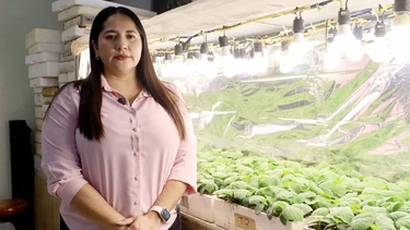 Bajo impacto ambiental y menos costos: La receta verde que nace en los laboratorios de la facultad de Agronomía de la UAS