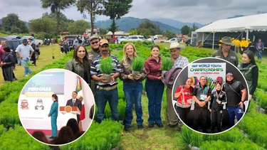 10 buenas noticias de México de este 7 de julio que nos motivan a seguir adelante
