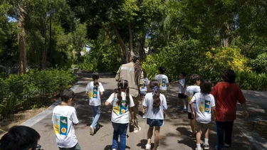 Invita el Jardín Botánico Culiacán a su Curso de Verano 2026; hay espacios disponibles
