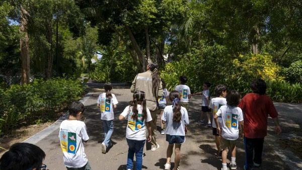 Invita el Jardín Botánico Culiacán a su Curso de Verano 2026; hay espacios disponibles