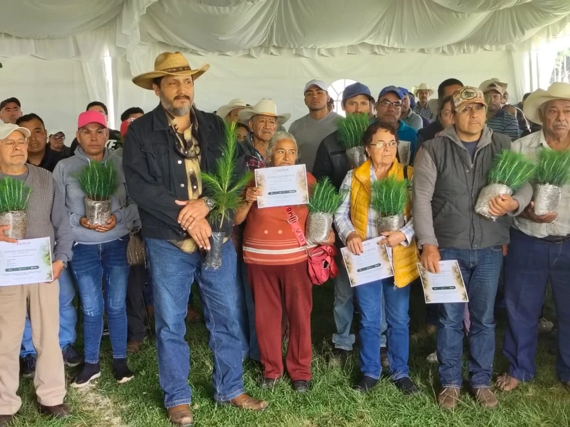 Zacatlán, Puebla, plantó 626 mil árboles en los últimos dos años. Foto: Cortesía