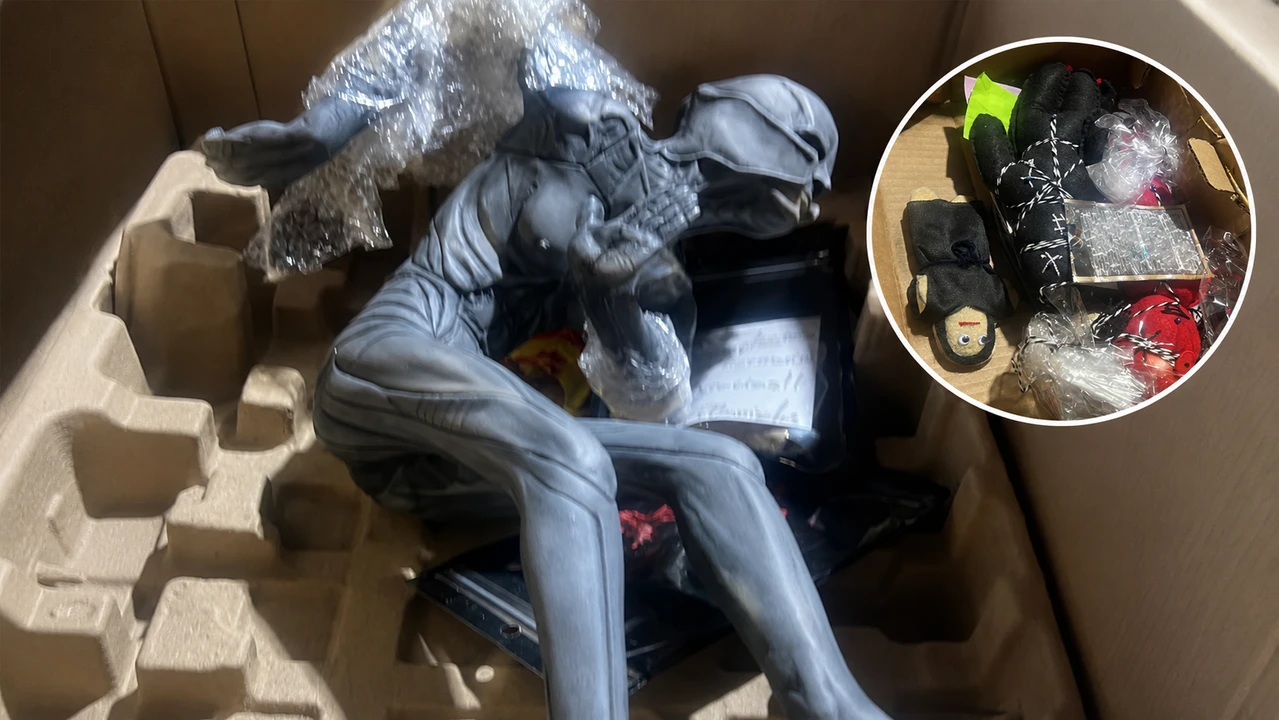 ANAM asegura más de 2.5 kilos de semillas con características de cannabis en la Aduana de Guadalajara.
