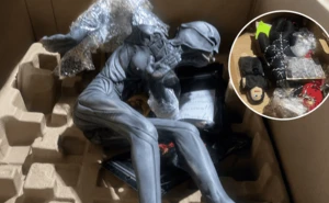 Un paquete enviado desde Sinaloa llamó la atención de las autoridades por lo que ocultaba en su interior