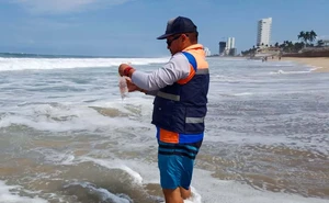 Las 22 playas de Sinaloa cumplen con calidad sanitaria: espacios seguros para visitantes