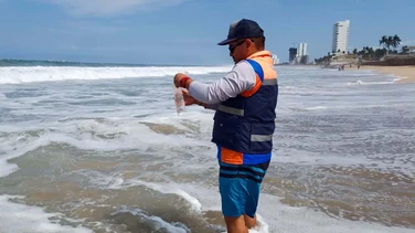 Las 22 playas de Sinaloa cumplen con calidad sanitaria: espacios seguros para visitantes