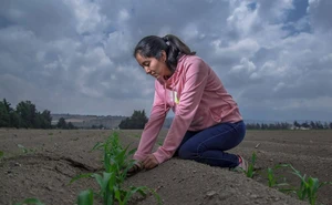 Gobierno federal destaca a planta GPO Topolobampo como eje para fortalecer la producción nacional de fertilizantes